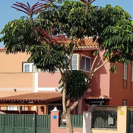 Rosas By Rinamar Villa