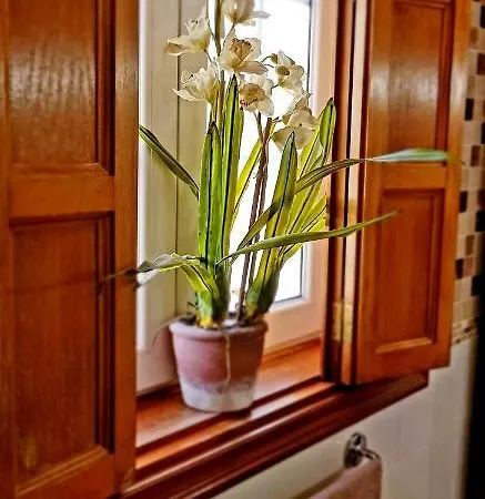 Rosas By Rinamar Villa